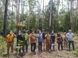 Aksi penanaman pohon dan biopori di Ultah Tahura Bukit Barisan ke 32.(ist). 