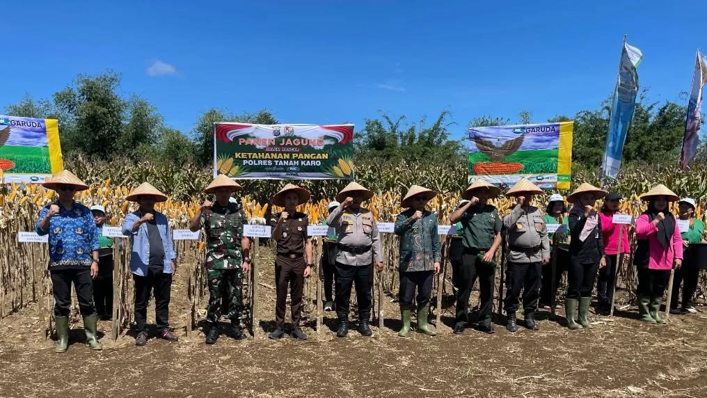 Panen Jagung di Lahan Ketahanan Pangan Polres Tanah Karo