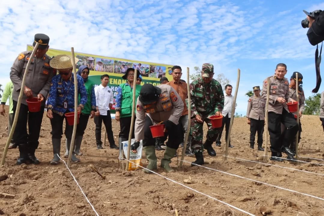 Dukung Ketahanan Pangan Nasional, Kapolres Tanah Karo Tanam Jagung 5 Hektar di Lahan Binaan
